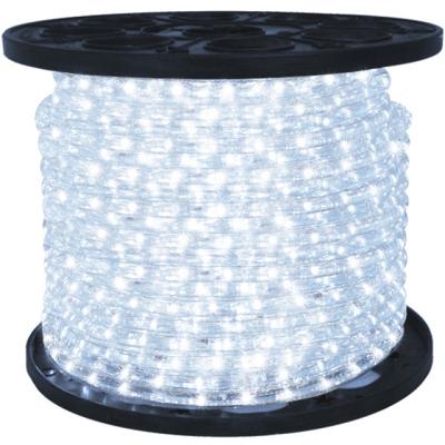 China Theme Park 110V/220V IP65 2 Wire 100m High Bright Led Rope Lights for sale