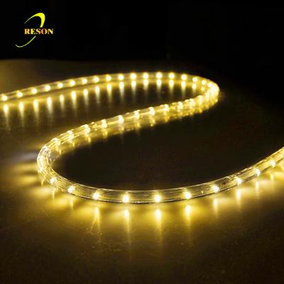 China Best Selling Theme Park Ideas Restaurant Decoration Lights For Building Events Led Rope Light for sale