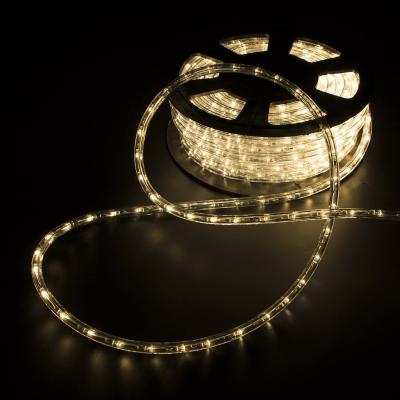 China 2020 Theme Park Hot Sale 100m White Led Rope Light Wedding Light for sale