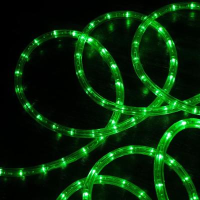 China Theme Park Fancy Sting Light IP65 Led Rope Light Event Decoration for sale