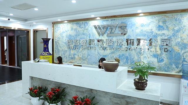 Verified China supplier - Weizhisheng Technology Co., Ltd.