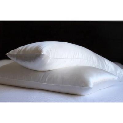 China Anti-Static Silk Filled Pillow with Silk Shell - Luxury Silk Pillows for Great Nights for sale