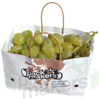 China Recyclable Wet Strength Craft Paper Bag With Ventilation For Grapes Or Fruits for sale