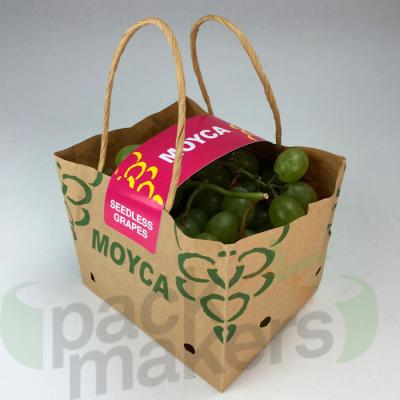 China Recyclable Kraft Paper Bag With Ventilation For Fruit Pack for sale