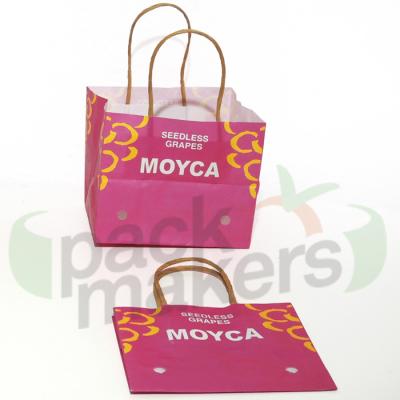 China Wet Strength Recyclable Paper Bag With Ventilation And White Handle For Fruits for sale