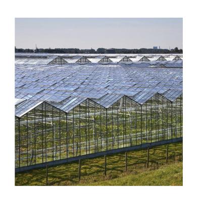 China Stable Structure Easily Assembled Linear Led Greenhouse Agricultural Insect Proof Sprayer Anti Light Cooling System Agricultural Greenhouse for sale