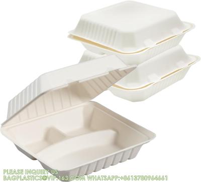 China 100% Compostable 3 Comp Take Out Food Containers Containers, Natural Disposable Bagasse, Eco-Friendly Biodegrad for sale