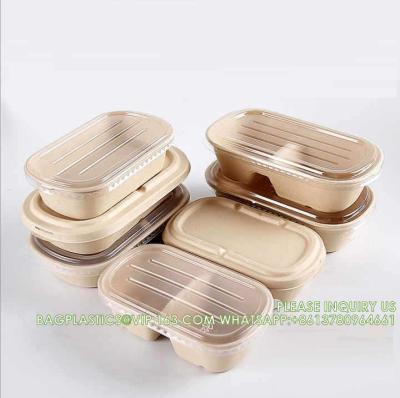 China Bolsa de Caña de Azúcar Bagasse Pulpa Caja de almuerzo para llevar Contenedor de alimentos para llevar Caja de embalaje de caña de azúcar reciclable en venta