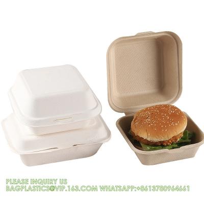 China Pulpa de caña de azúcar Clamshell Bagasse Comida para llevar Bento Bote de almuerzo Contenedor de alimentos para hamburguesas en venta