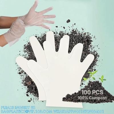 China Compostable Preparación de alimentos Guantes desechables de grado de restaurante Seguro para cocinar Manipulación Servicio de PLA de origen vegetal Eco amigable en venta