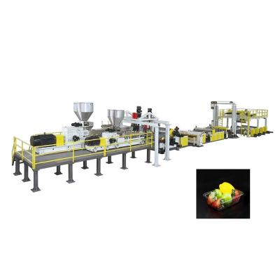 China Recycling Plastic Sheet PET / PLA Sheet Plastic Extrusion Making Machine for sale