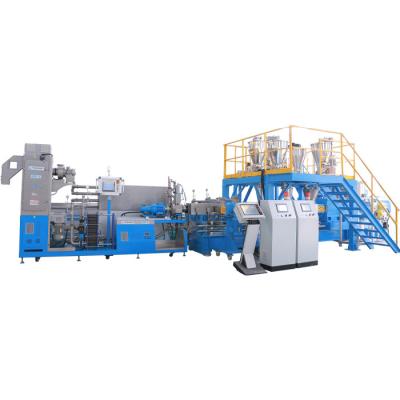 China Pellets Pelletizing Line /Plastic Pellet Screw Extruder PLA/PBAT Twin Line Pelletizing Extruders for sale