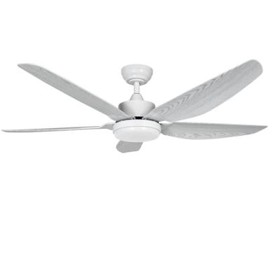 China Modern ABS 56/48inch 5 Blade Ceiling Fan With Lamp Frequency Conversion Brushless Motor Led Ceiling Fan for sale