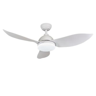 China Modern New simple ceiling fan with lamp and remote control ceiling fan lamp frequency conversion DC motor factory OEM for sale