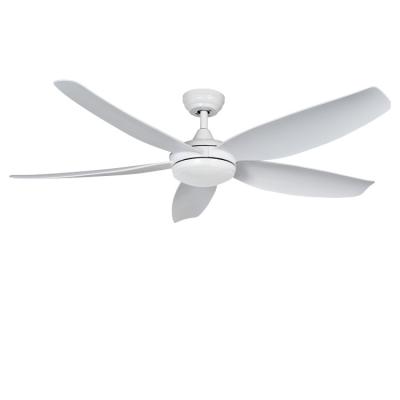 China Modern Living room Decor Large ceiling fan with light and remote matte white main 24W LED light 48/38/33 inch ceiling fan light for sale