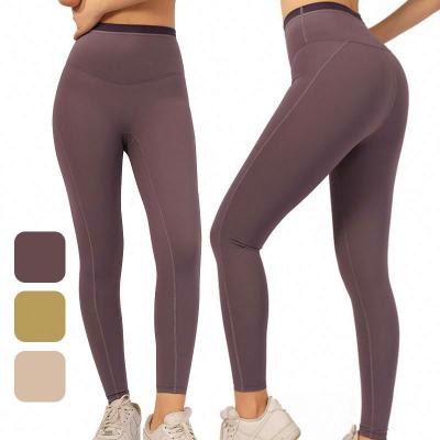 China Seamless Fitness Leggings Women Compression Tights Workout Leggings for sale