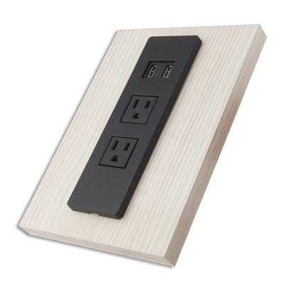 China Residential/General Purpose ET-22 Recessed Power Extension Plug Cable with AC Outlet Dual USB Port for sale