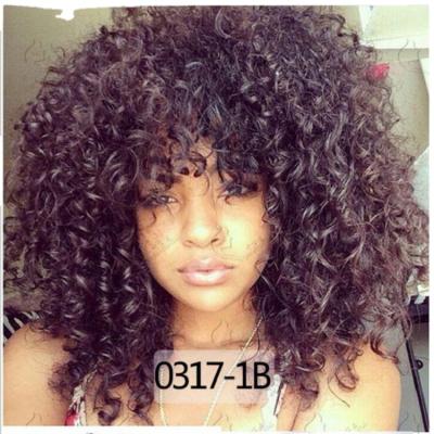 China Water Wave Afro Wig Women African Wigs With Small Curly Hair Wig for sale