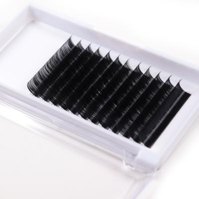 China Thick Cosmetics Private Label Whips Extension Mink Eyelash Extension OEM Silk Lashes For Extension for sale