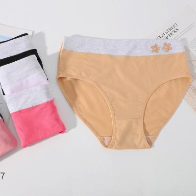 China Various Colors High Quality Anti-Static With Briefs Girls Factory New Design Cotton Young Girls Underwear Panties for sale