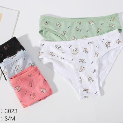 China High Quality Cartoon Cotton Breathable Kids Underwear Soft Kids Briefs For Girls Underwear Panties for sale