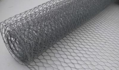 Chine Silver Woven 2 Inch Chicken Wire Mesh Stainless Steel For Garden / Poultry à vendre