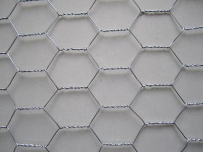 Chine Hot Dipped Galvanized Chicken Wire Mesh à vendre