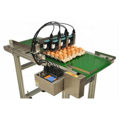 China Hotels Layout Character Automatic High Resolution Inkjet Printing Egg Tray Inkjet 6 Printhead for sale