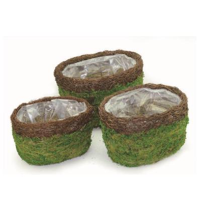 China Eco-friendly set of 3 soft green preserved moss plant pots for wedding deco for sale