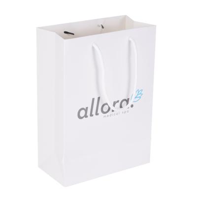 China 2022 customs recyclable paper bag with logo printing paper shopping bag price, gift paper bag made in china for sale