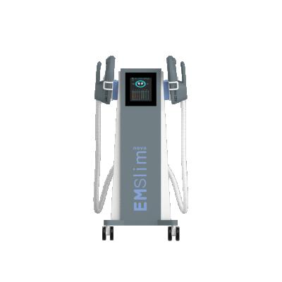 China Professional Weight Loss Cellulite Removal 2 RF Handles Body Slimming Emslim Machine For Sale for sale