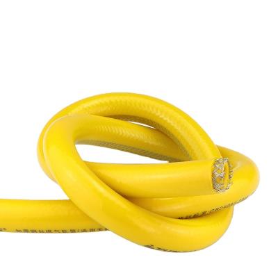 China Luxury Hot Selling Natural Gas Heater Hose Mate Flexible Gas Stove Hose for sale