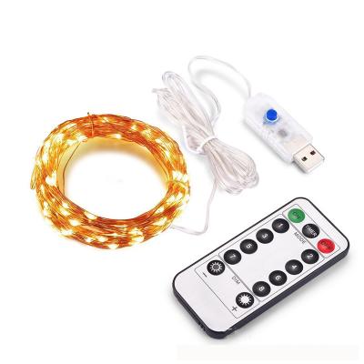 China LANDSCAPE Highly Waterproof Warm White USB LED Copper Wire Led Starry String Lights For Wedding Party for sale