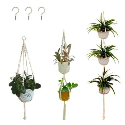 China Simplicity Indoor Plant Hanger Modern Handcrafted Space Saving Wall Mounted Plant Hanger for sale