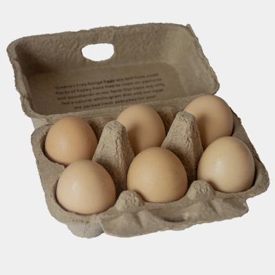 China Paper Pulp Packaging Biodegradable Tray Egg Biodegradable Pulp Paper Packaging for sale