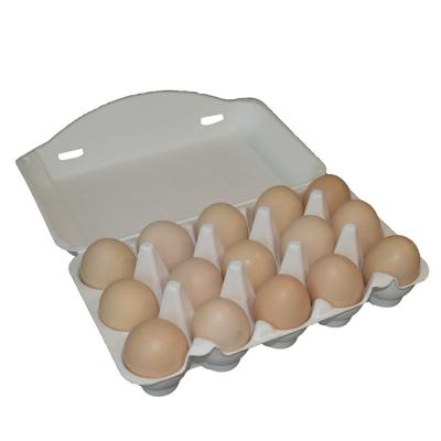 China OEM Biodegradable Egg Tray Paper Pulp Egg Tray 15 Cartons Cells Hen Egg Box For Sale for sale