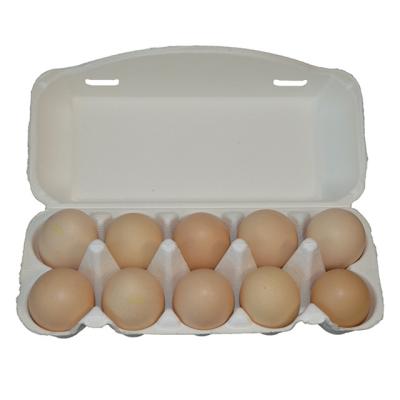 China Duck Eggs Tray Price Carton Egg Paper Tray 10 Holes High Quality Biodegradable Chicken Goose Paperboard for sale