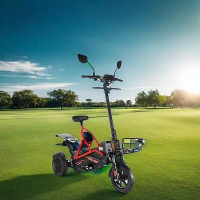 China Electric Scooter with Dual Brushless Motors and Steel Frame 48V500W*2 Lithium Battery for sale