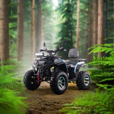 China 200CC ATV 250CC ATV Adult ATV Quad Bike with Chain Drive and 1000W Electric Pull Start for sale