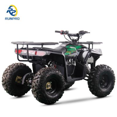 China 2WD All-Terrain Doppel-Vierräder Strand Buggy mit 100-200kg Nutzlastkapazität perfekt zu verkaufen