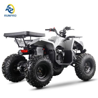 Cina Gas/diesel Beach Buggy Chain Drive 4 ruote 4 tempi Quad Bike 200cc/300cc per adulti in vendita