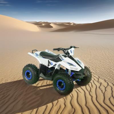 China 1250x760x800MM Electric ATV 1000w/1200w/1500w Quad Bike 1000w/1200w/1500w Electric for sale