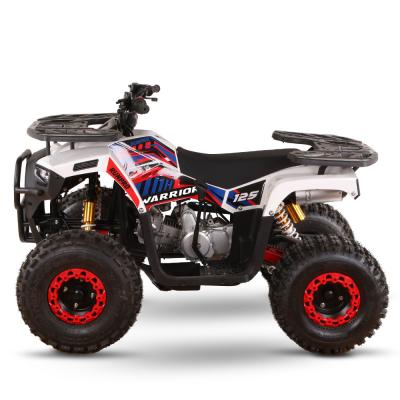 Cina Certificato CE a gas Kids Quad Bike 110cc 125cc ATV Quattro ruote con trazione a catena in vendita