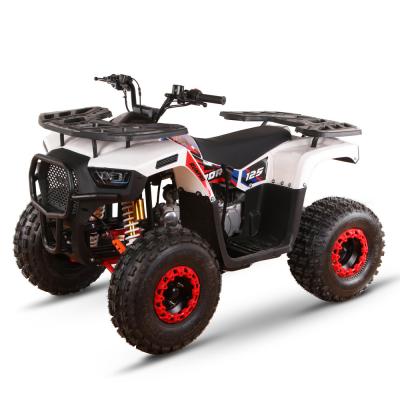 Chine ATV UTV Farm Motor 4 roues 125cc 150cc 200cc 4x4 hors route Quatrimoto Quad Motocycle à vendre