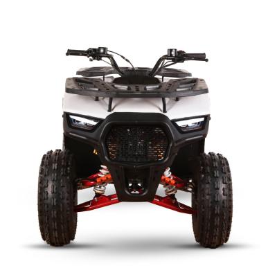 China Erwachsener Benzingetriebe 125cc ATV Motorrad UTV mit 150-200mm Bodenfreiheit zu verkaufen