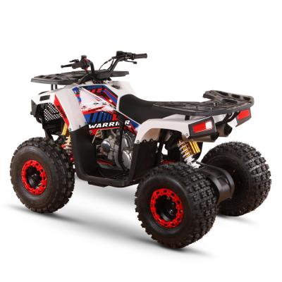 China 125cc 110cc 4 Stroke Mini Quad EPA Adult ATVs 4 Wheeler ATV for Kids/Teenager Buggy ATV for sale