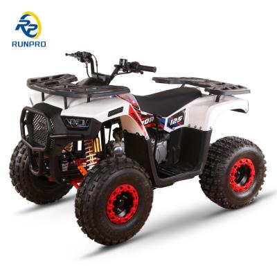 China 125CC All Terrain ATV Motorcycle 60km/h Max Speed Gasoline Transmission 4x4 UTV for Adult for sale