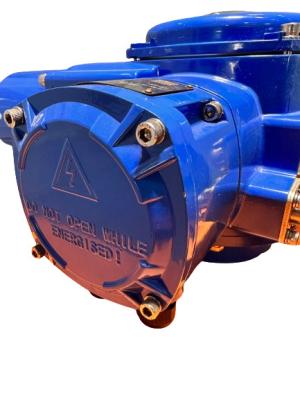 China Elektrische luchtklep actuator 100NM IP67 Te koop