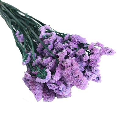 China INS Stylish Style Hot Selling Preserved Colorful Natural Statice Limonium And Lavender Flowers Myosotis Home Decoration Or Gifts To Friend for sale