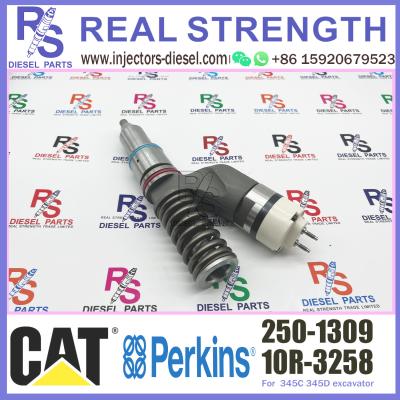 Cina 250-1309 2501309 Perkins Diesel Injector 10R-3258 10R3258 C13 CAT Fuel Injector in vendita